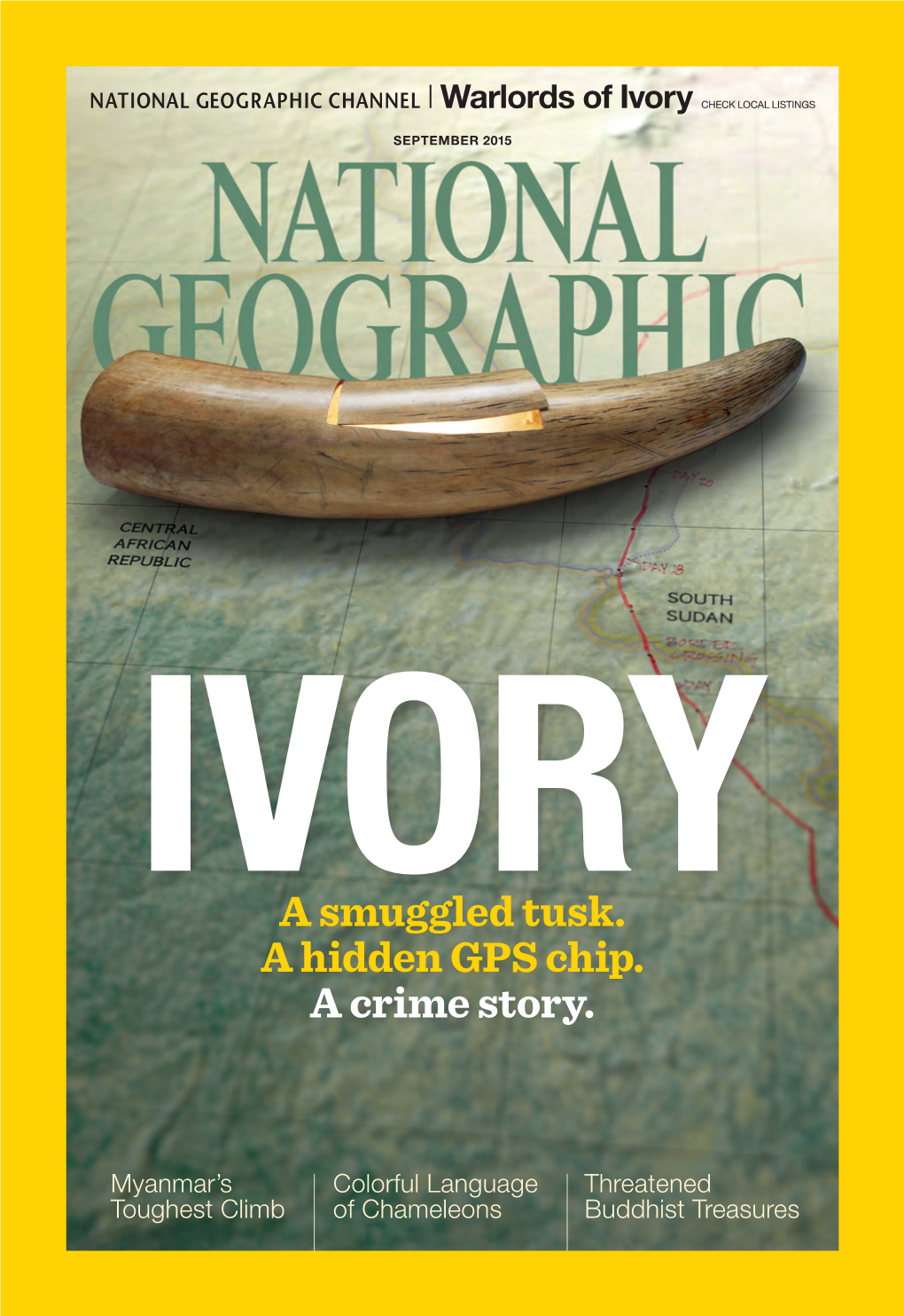 Tracking Ivory 37 in January 2014, While X-Raying a Vietnam-Bound Container Declared to Hold Cashews, Togolese Port Authorities Saw Something Strange: Ivory