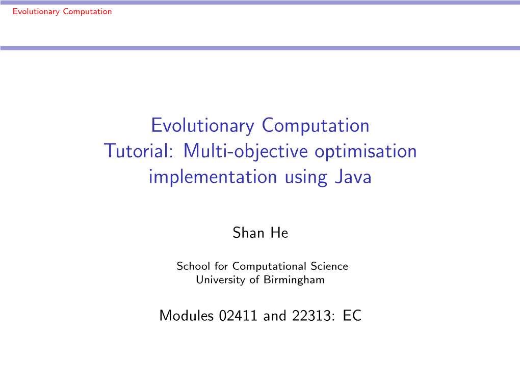 Evolutionary Computation Tutorial: Multi-Objective Optimisation Implementation Using Java