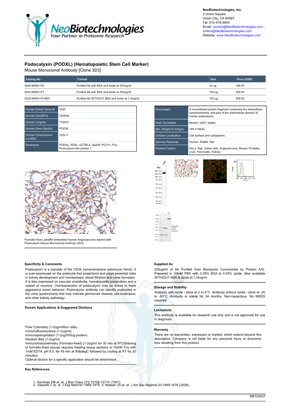 Podocalyxin (PODXL) (Hematopoietic Stem Cell Marker) Mouse Monoclonal Antibody [Clone 3D3]