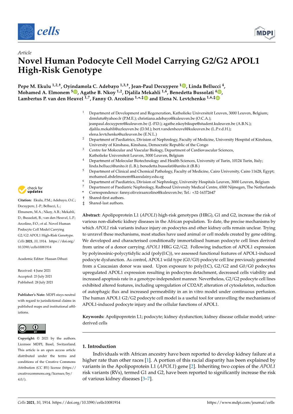 Novel Human Podocyte Cell Model Carrying G2/G2 APOL1 High-Risk Genotype