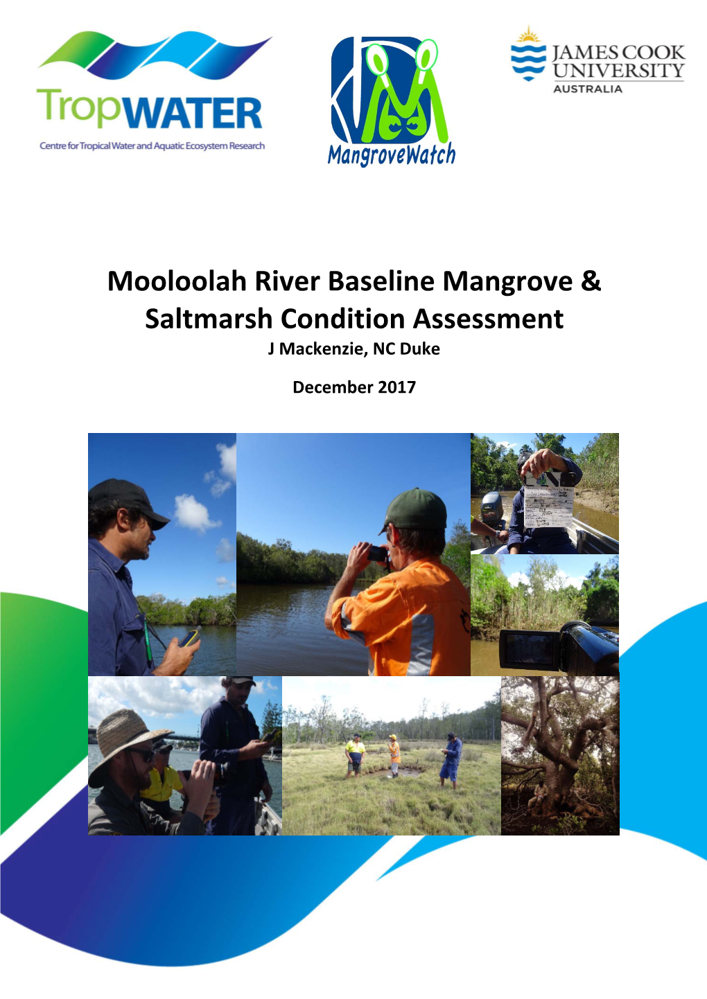Mooloolah River Baseline Mangrove & Saltmarsh Condition Assessment