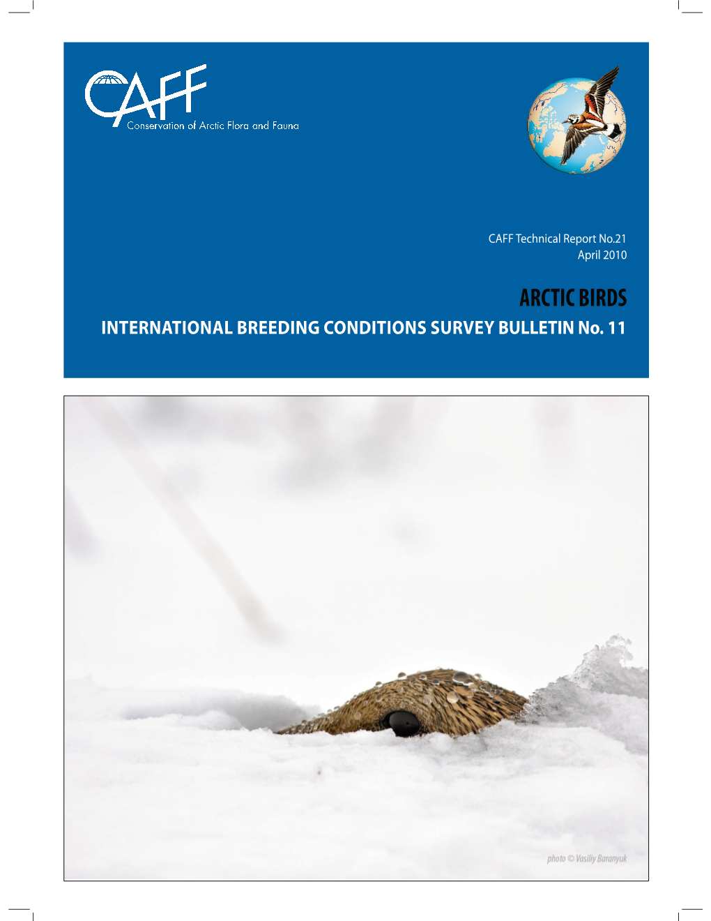 ARCTIC BIRDS INTERNATIONAL BREEDING CONDITIONS SURVEY BULLETIN No