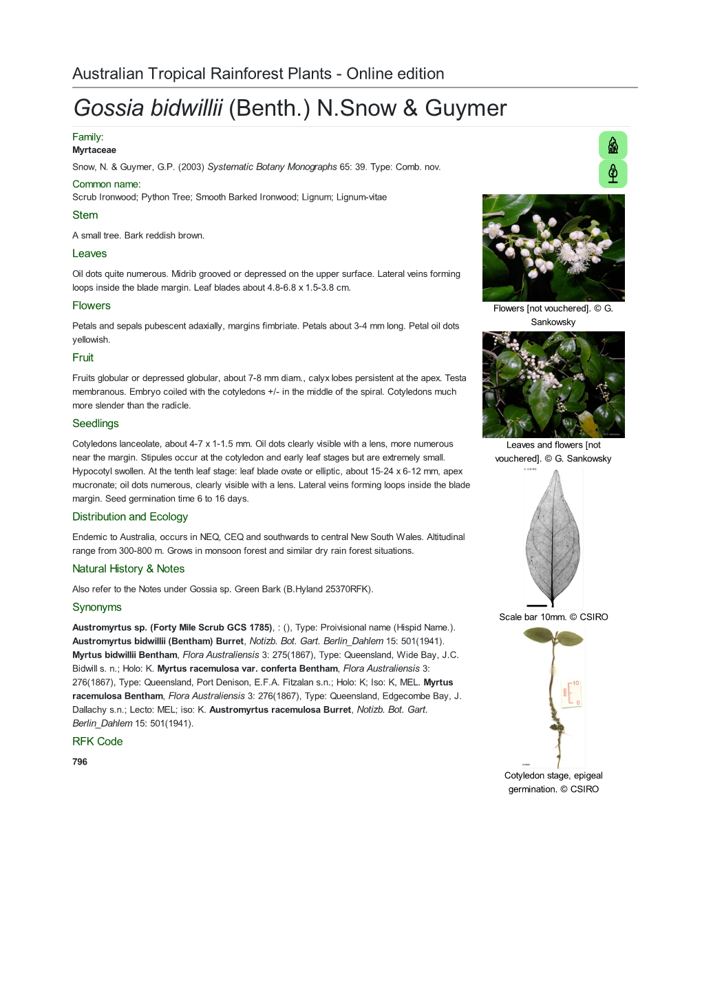 Gossia Bidwillii (Benth.) N.Snow & Guymer Family: Myrtaceae Snow, N