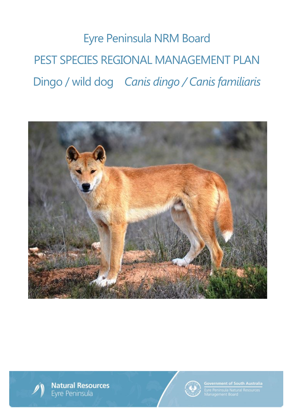 Eyre Peninsula NRM Board PEST SPECIES REGIONAL MANAGEMENT PLAN Dingo / Wild Dog Canis Dingo / Canis Familiaris