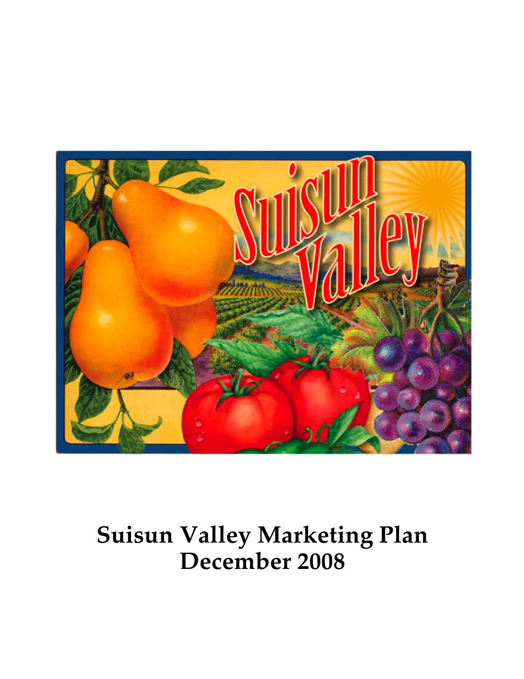 Suisun Valley Marketing Plan December 2008