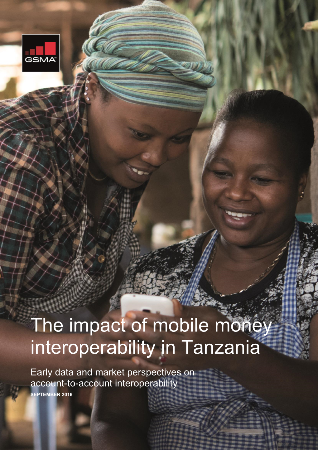 The Impact of Mobile Money Interoperability in Tanzania