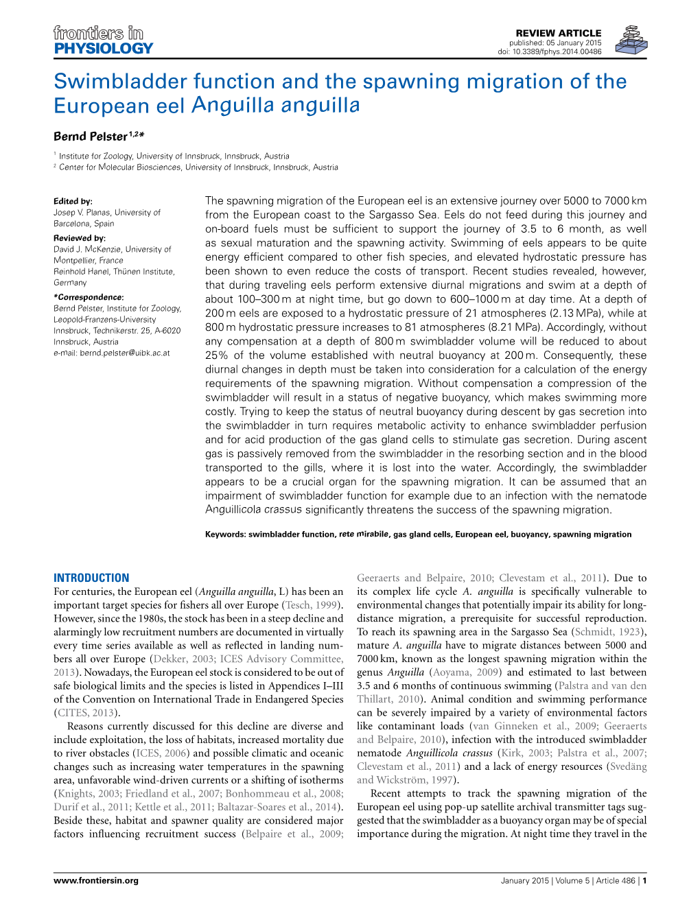 Swimbladder Function and the Spawning Migration of the European Eel Anguilla Anguilla