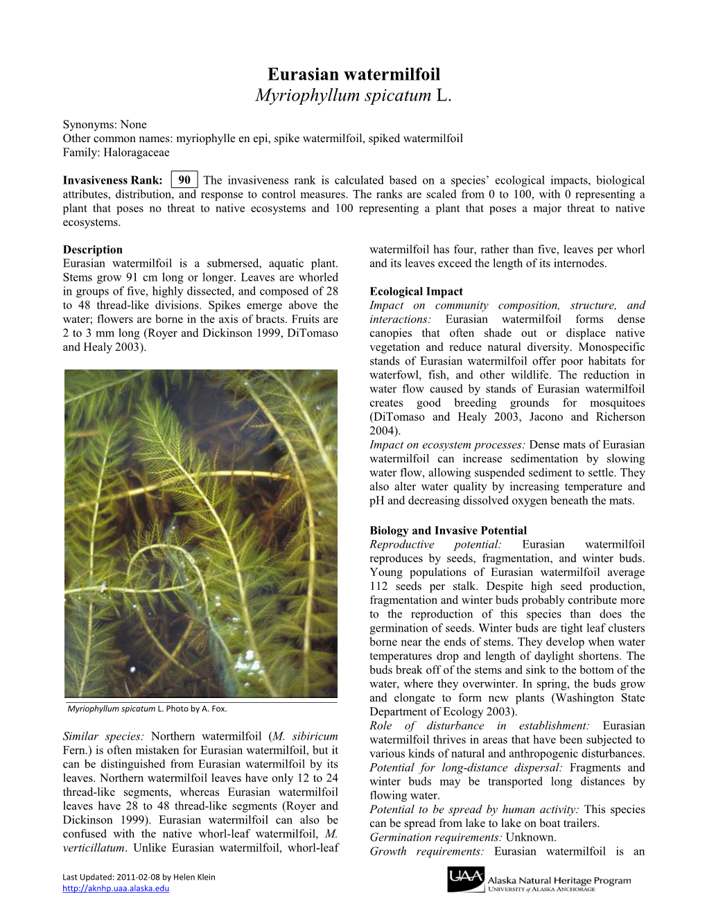 Eurasian Watermilfoil Myriophyllum Spicatum L