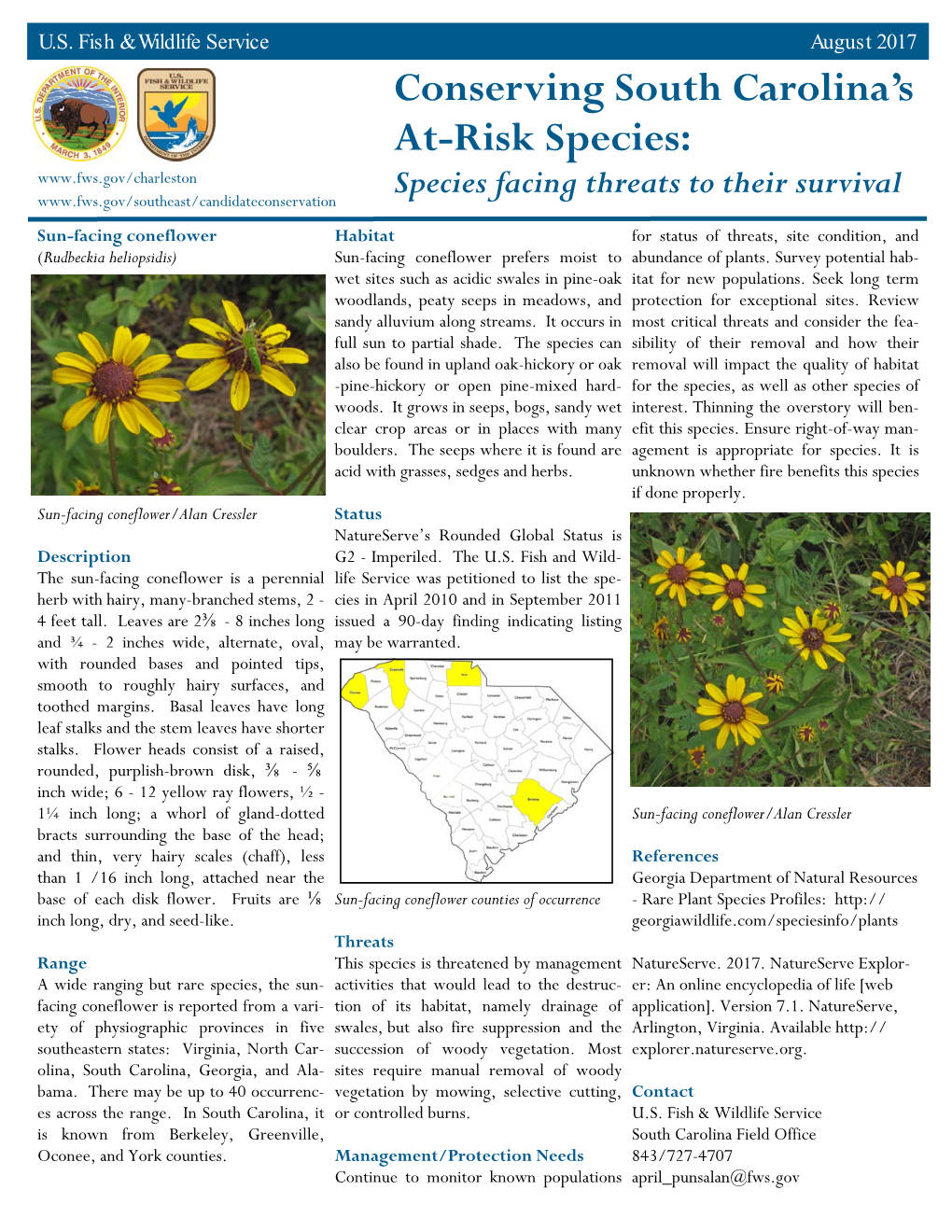 Sun-Facing Coneflower Fact Sheet SC 2017.Pub