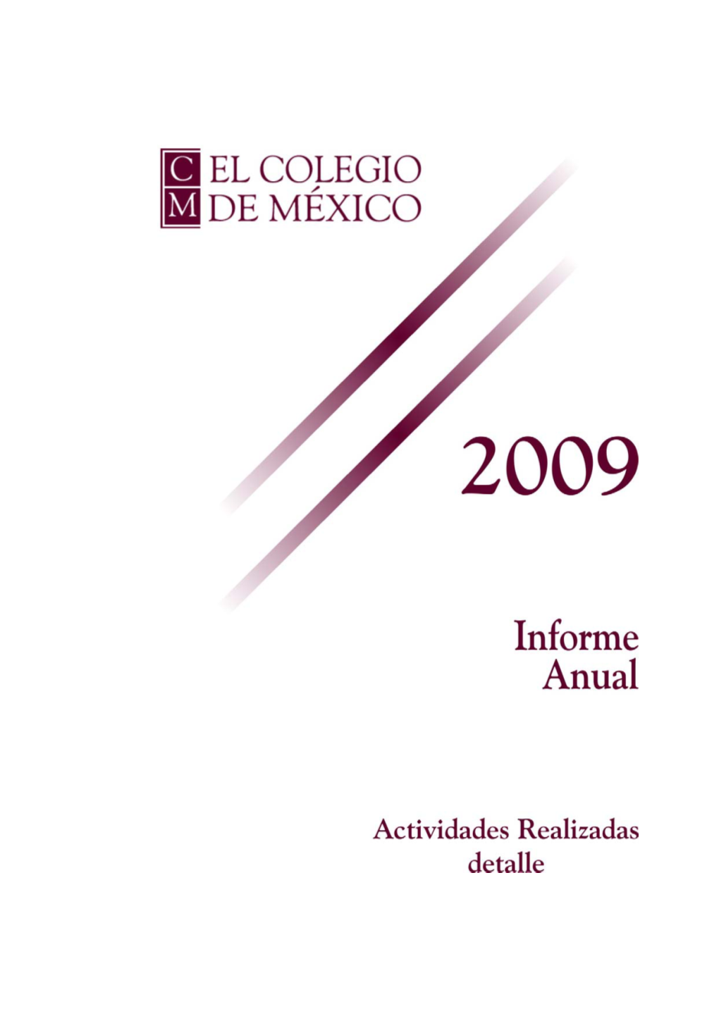 Informe Centros De Estudios 2009