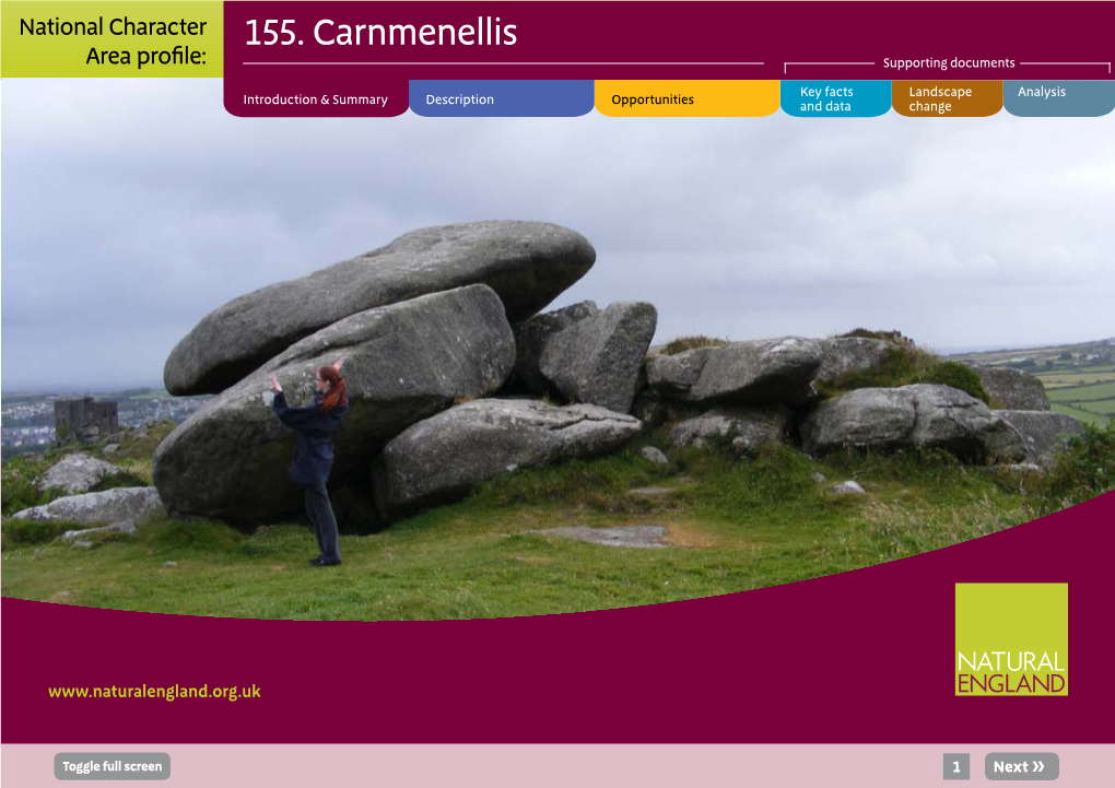 155. Carnmenellis Area Profile: Supporting Documents