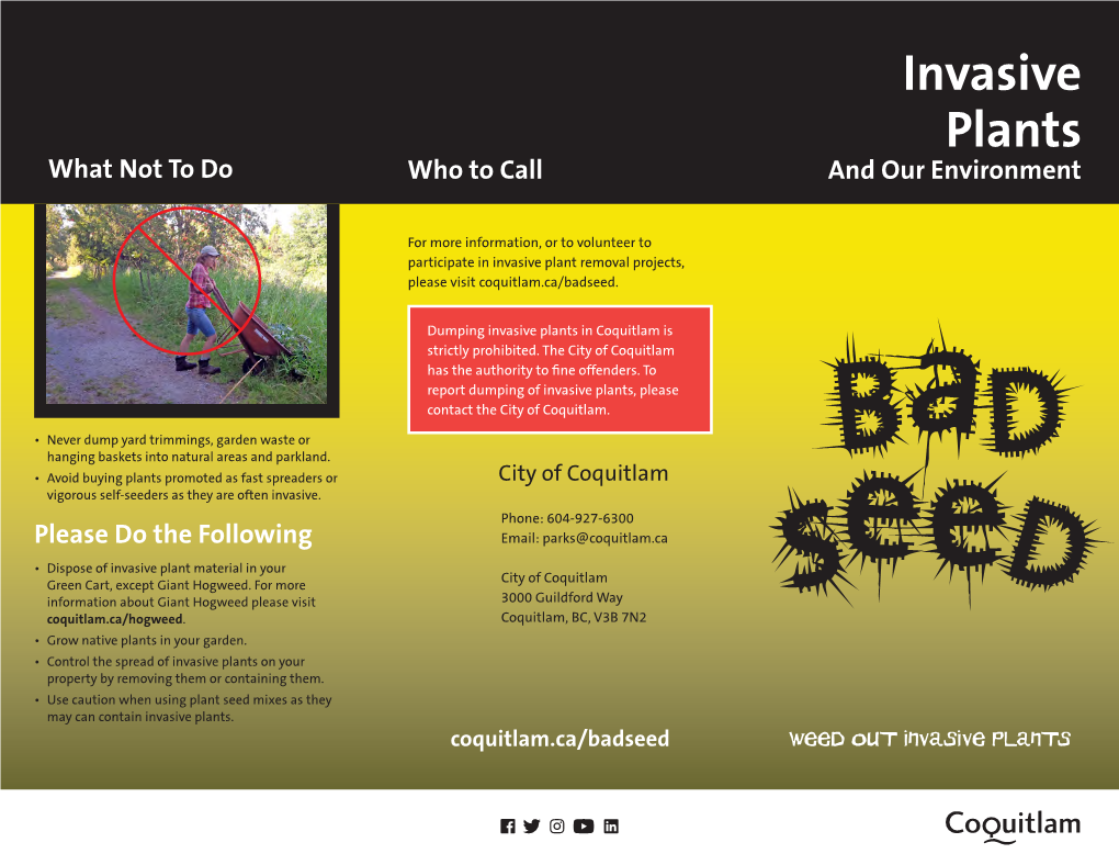 Invasive Plants What Not to Do Who to Call and Our Environment