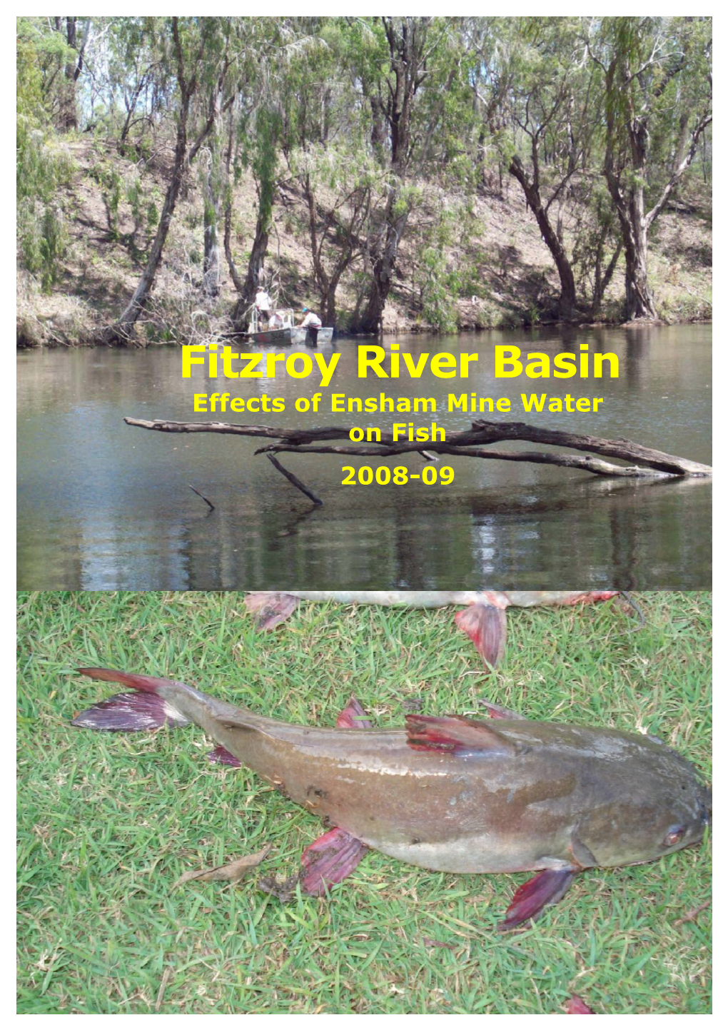 Fitzroy River Basin Effects of Ensham Mine Water on Fish 2008-09 Fitzroy River Basin Effects of Ensham Mine Water on Fish 2008-09