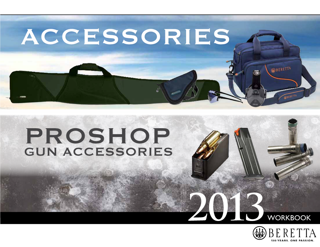 Gun Accessories