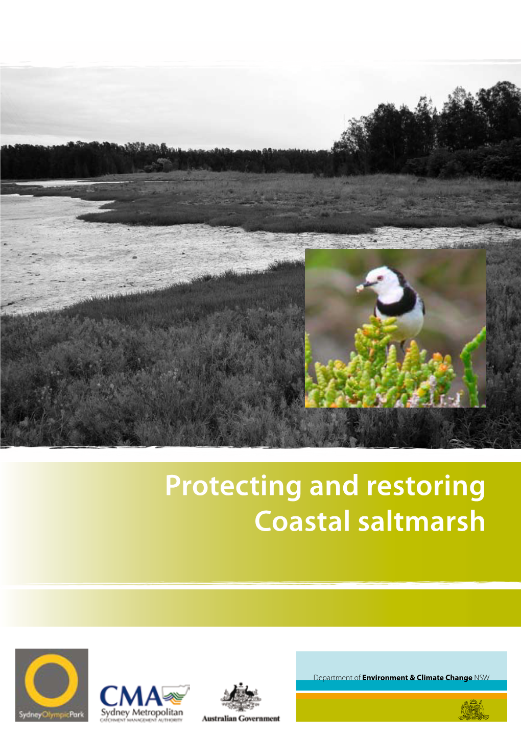 Protecting and Restoring Coastal Saltmarsh