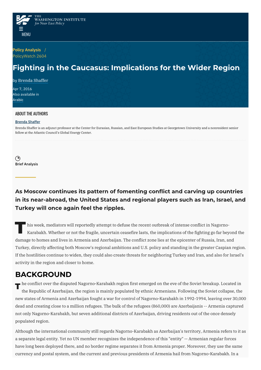 Fighting in the Caucasus: Implications for the Wider Region by Brenda Shaffer