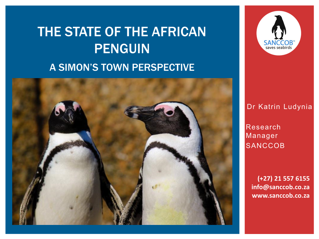 The State of the African Penguin a Simon’S Town Perspective