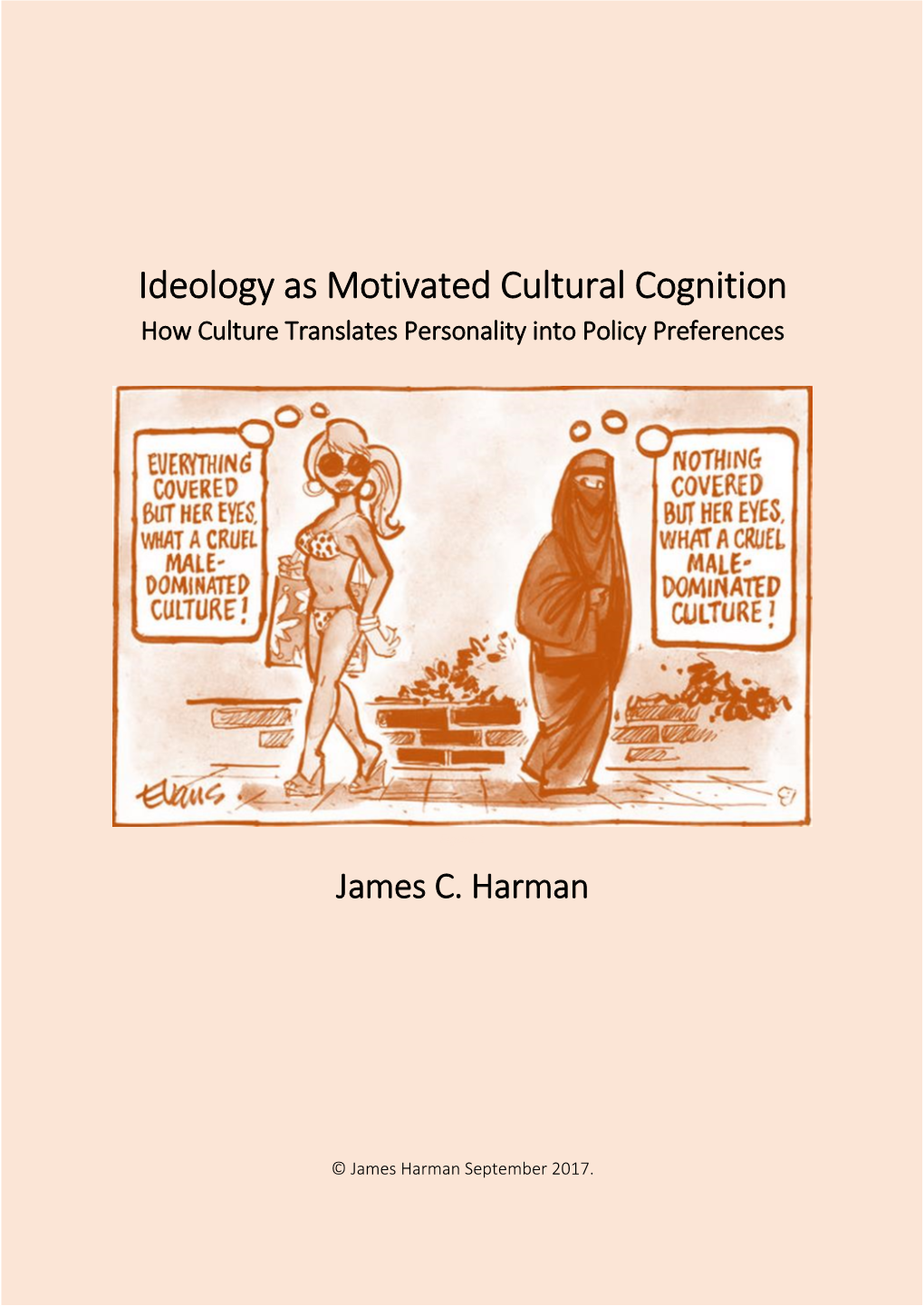 Ideology As Motivated Cultural Cognition How Culture Translates Personality Into Policy Preferences