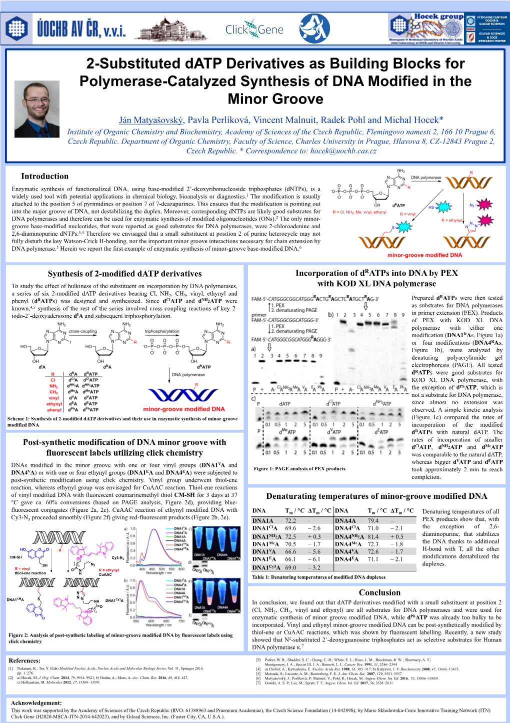 2-Substituted Datp Derivatives As Building Blocks For