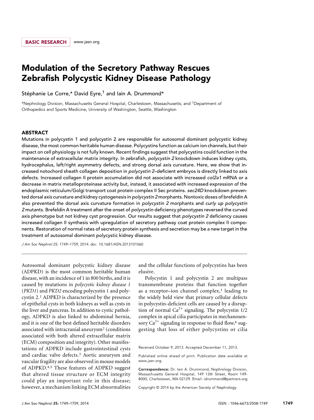 Modulation of the Secretory Pathway Rescues Zebrafish Polycystic