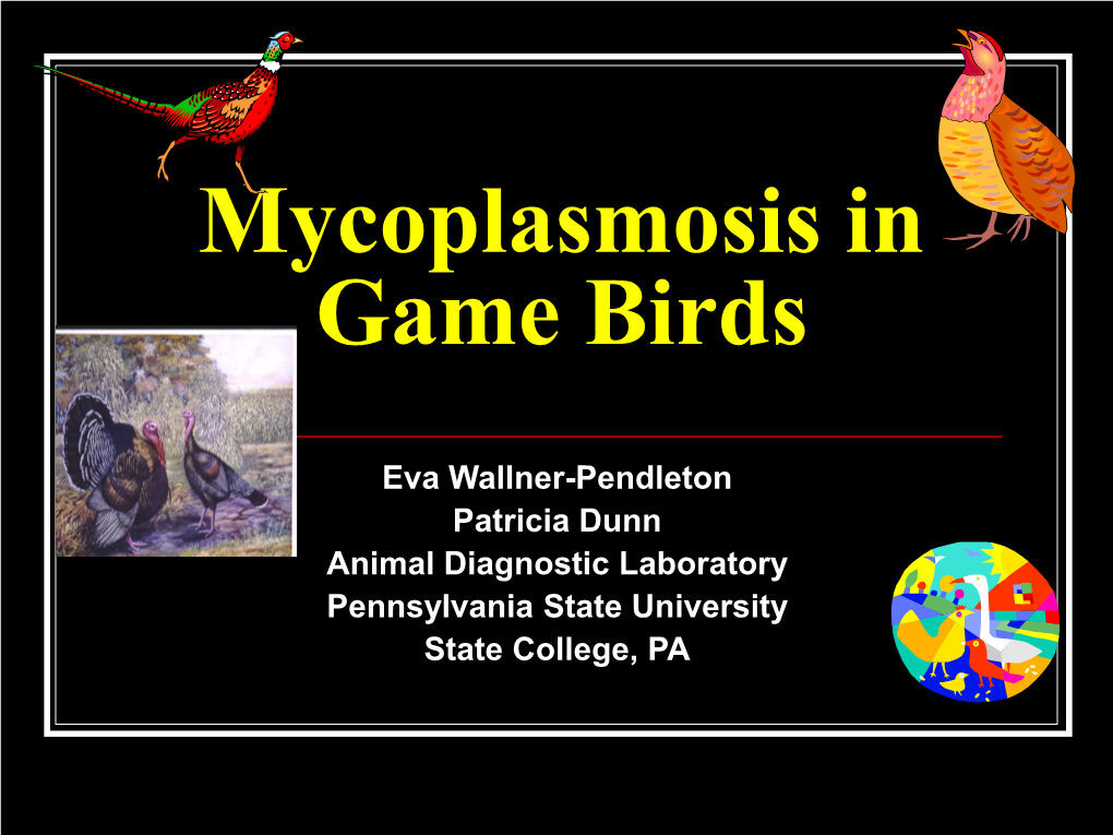 Mycoplasmosis in Game Birds