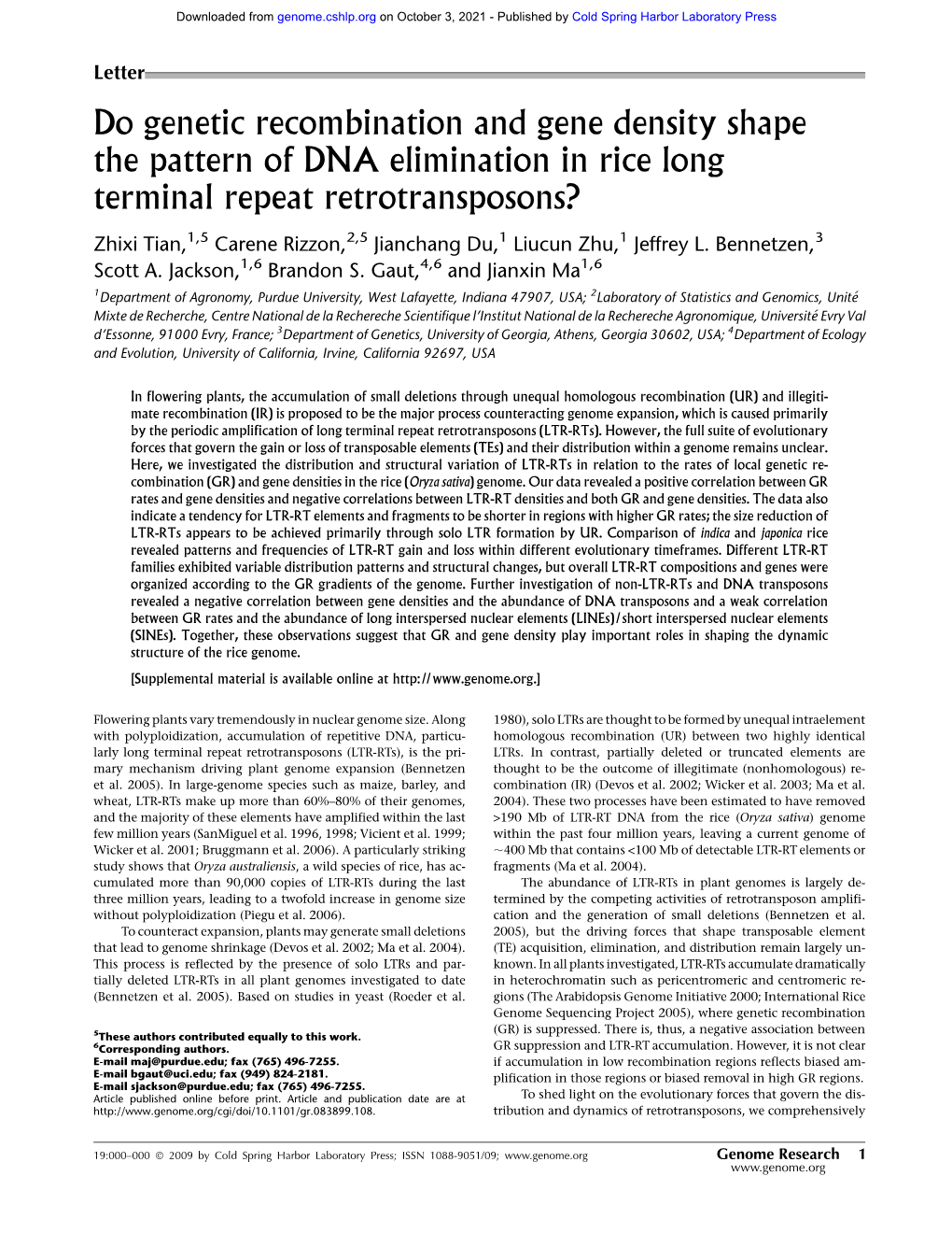 Do Genetic Recombination and Gene Density Shape the Pattern of DNA Elimination in Rice Long Terminal Repeat Retrotransposons?