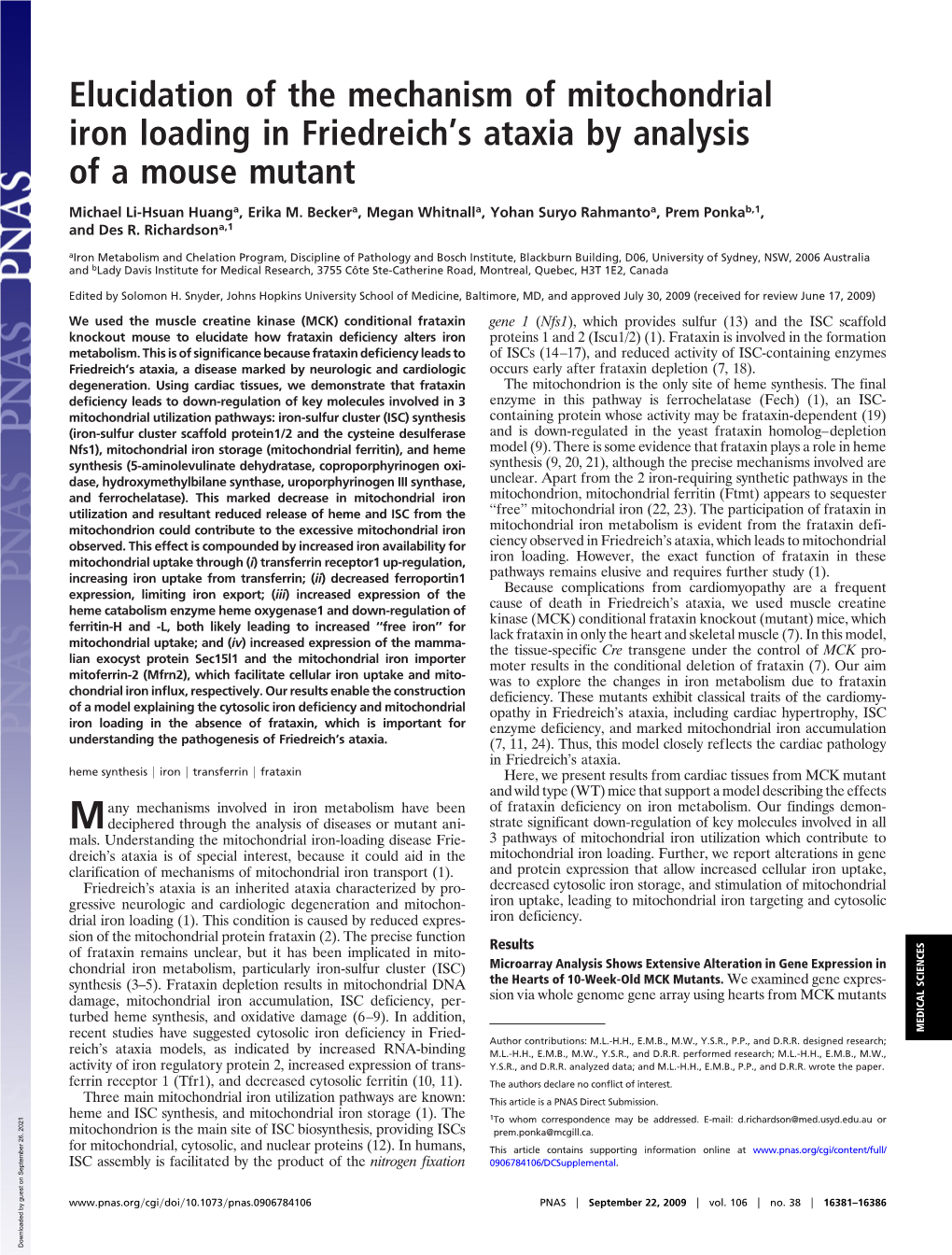 Elucidation of the Mechanism of Mitochondrial Iron Loading in Friedreich’S Ataxia by Analysis of a Mouse Mutant