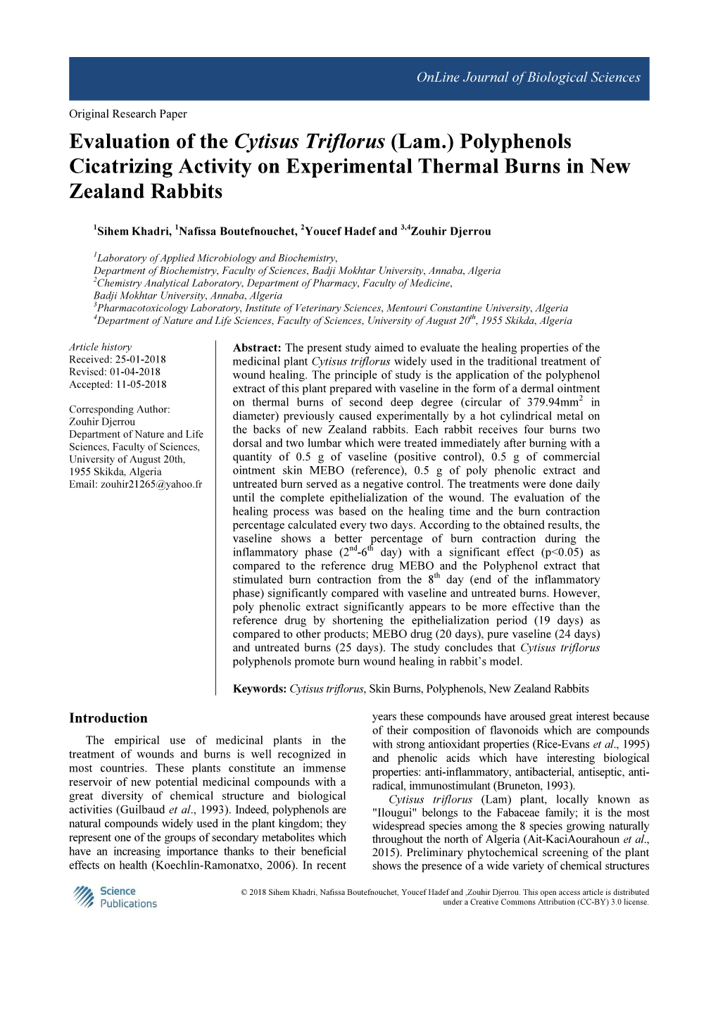 (Lam.) Polyphenols Cicatrizing Activity on Experimental Thermal Burns in New Zealand Rabbits