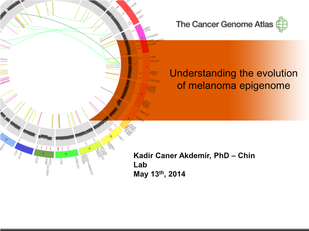 Understanding the Evolution of Melanoma Epigenome