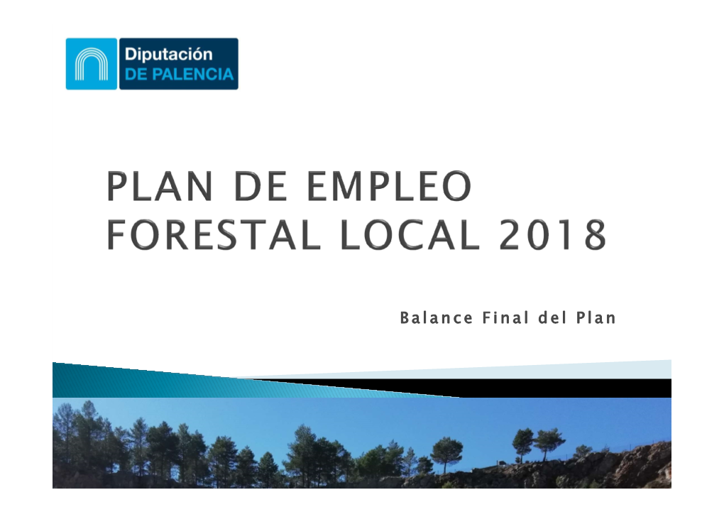 Balance Final Plan Empleo Forestal 2018