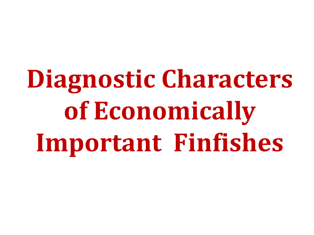 Diagnostic Characters of Economically Important Finfishes Freshwater Fishes Indian Major Carps (Imcs)