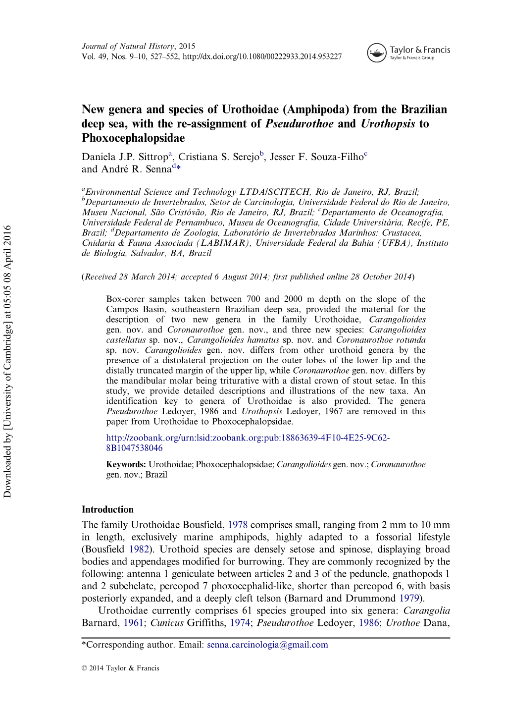 Amphipoda) from the Brazilian Deep Sea, with the Re-Assignment of Pseudurothoe and Urothopsis to Phoxocephalopsidae Daniela J.P