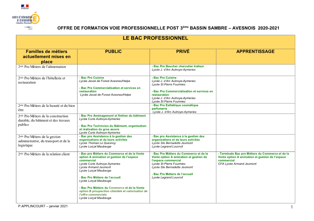 Le Bac Professionnel