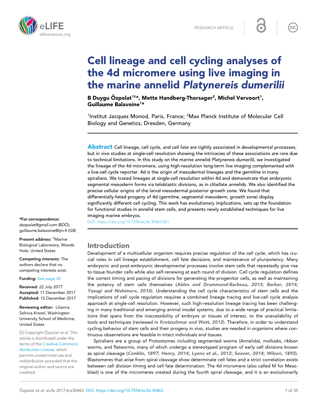 Cell Lineage and Cell Cycling Analyses of the 4D Micromere Using Live Imaging in the Marine Annelid Platynereis Dumerilii