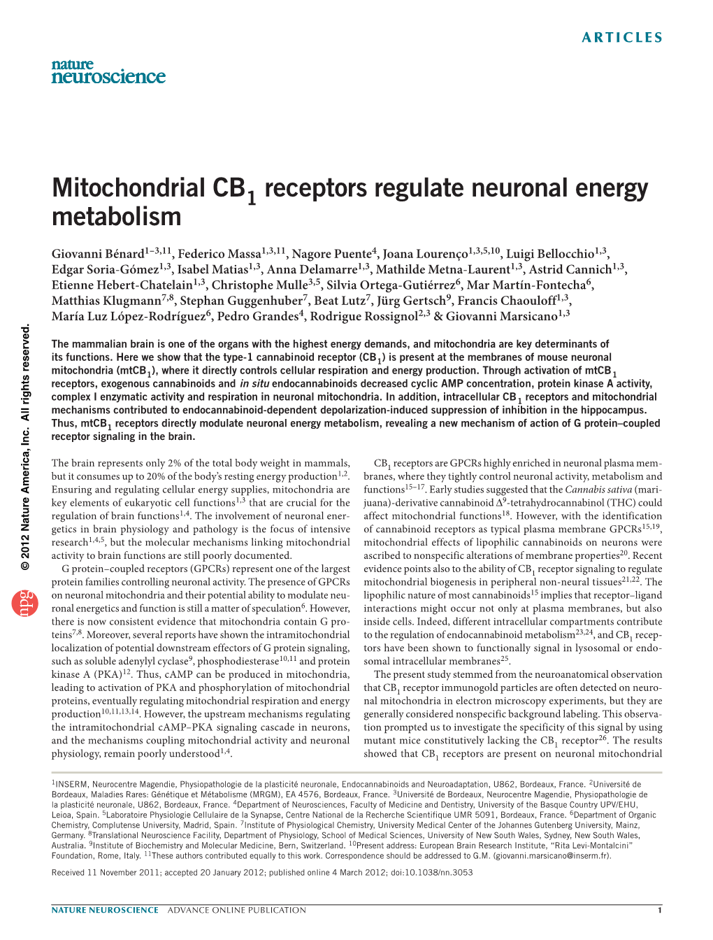 Mitochondrial CB1 Receptors Regulate Neuronal Energy Metabolism