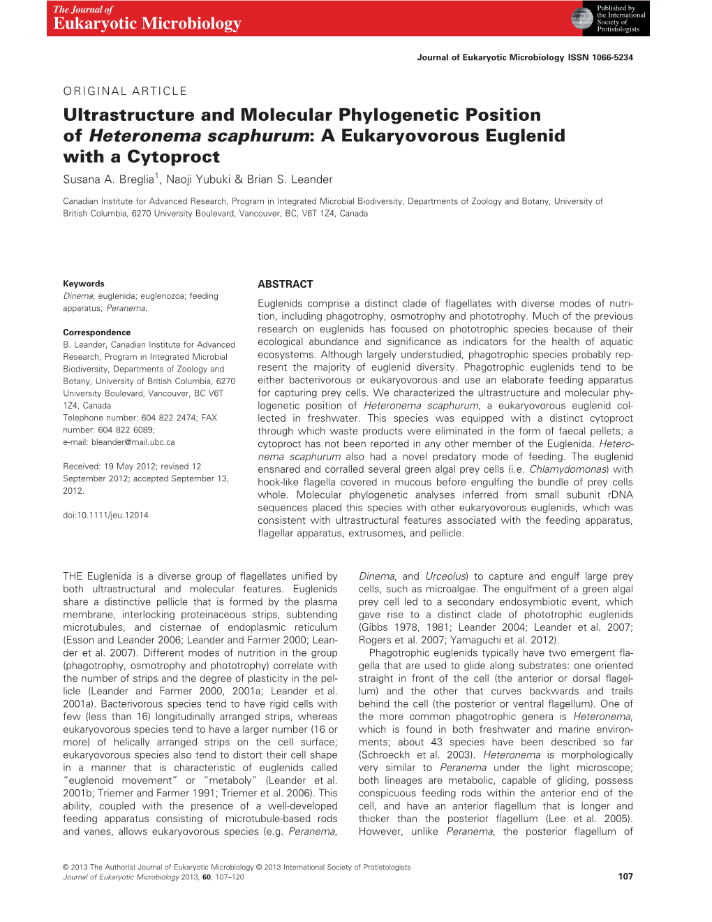 Ultrastructure and Molecular Phylogenetic Position of Heteronema Scaphurum: a Eukaryovorous Euglenid with a Cytoproct Susana A