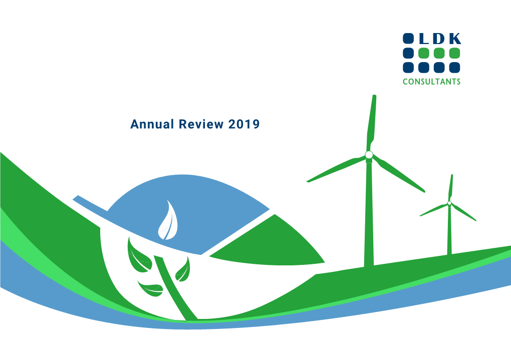 Annual Review 2019