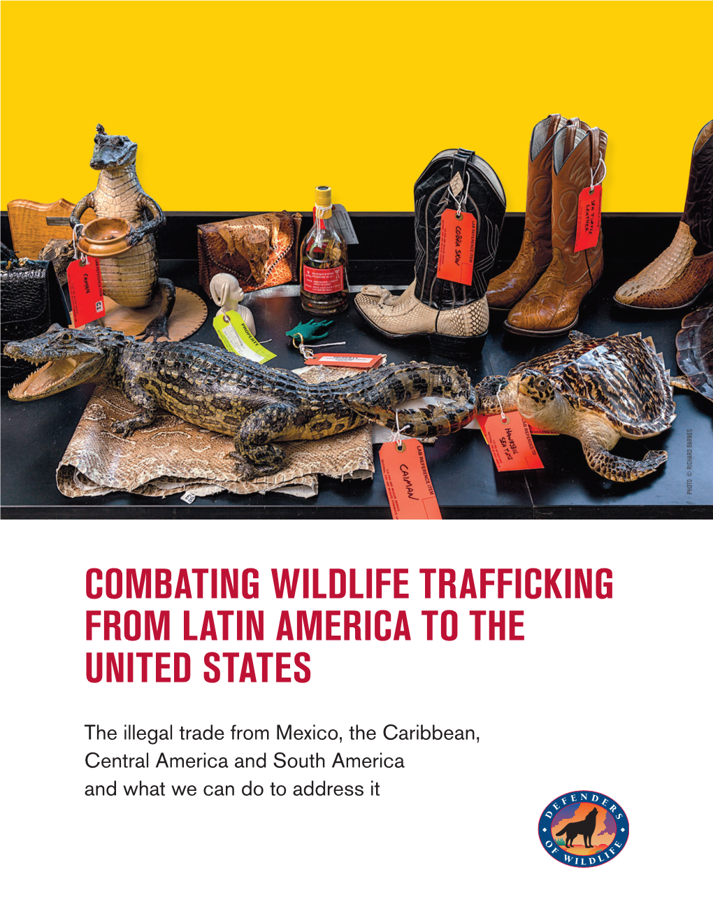 Combating Wildlife Trafficking from Latin America to the United States