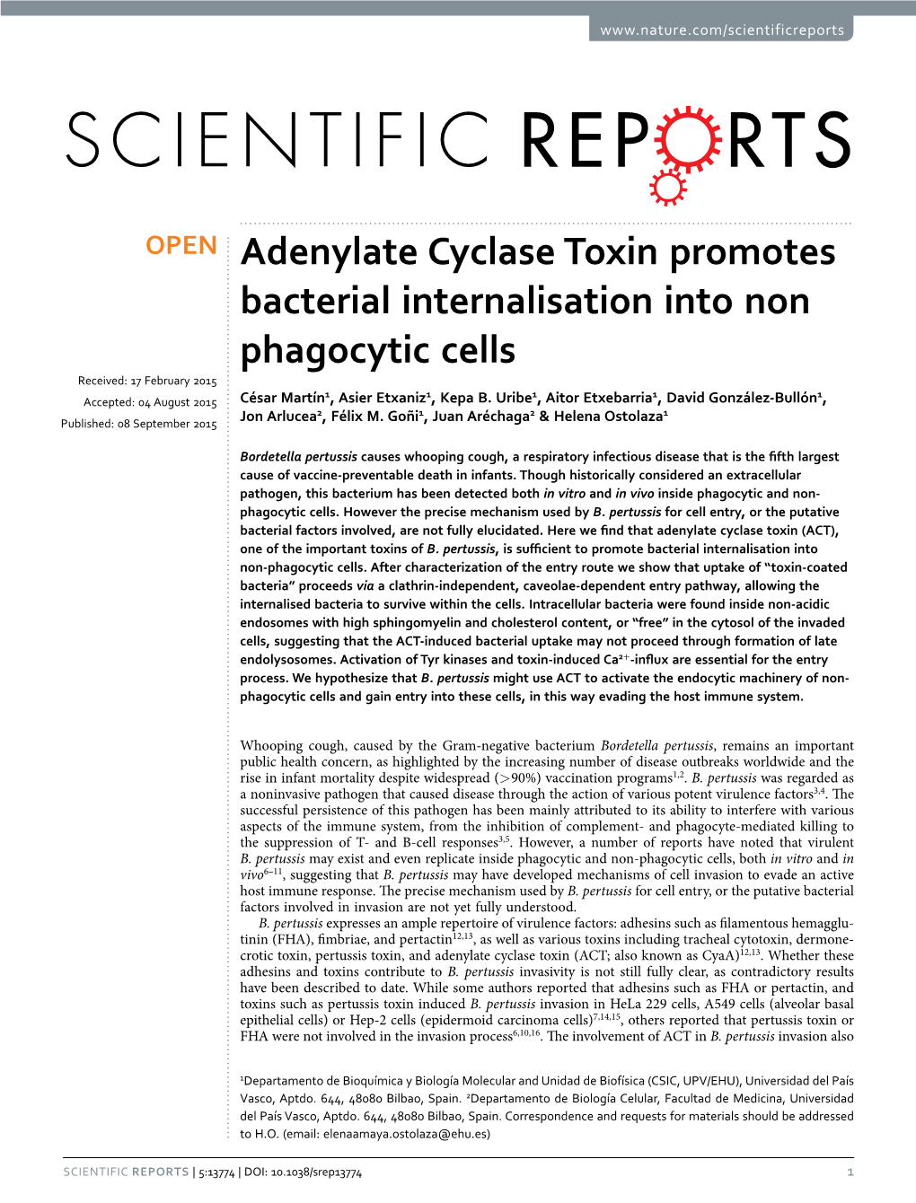 Adenylate Cyclase Toxin Promotes Bacterial Internalisation Into Non Phagocytic Cells