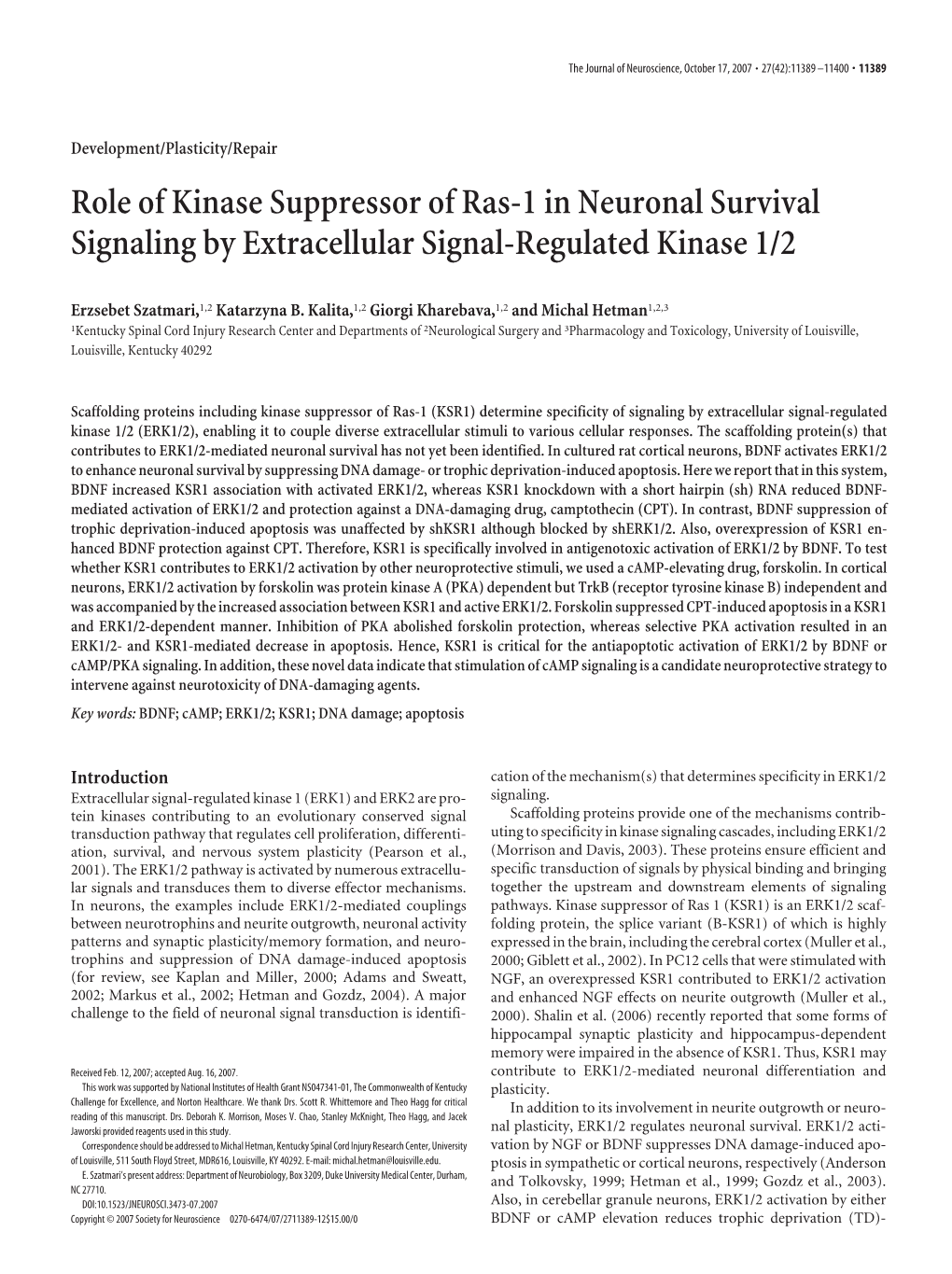 Role of Kinase Suppressor of Ras-1 in Neuronal Survival Signaling by Extracellular Signal-Regulated Kinase 1/2