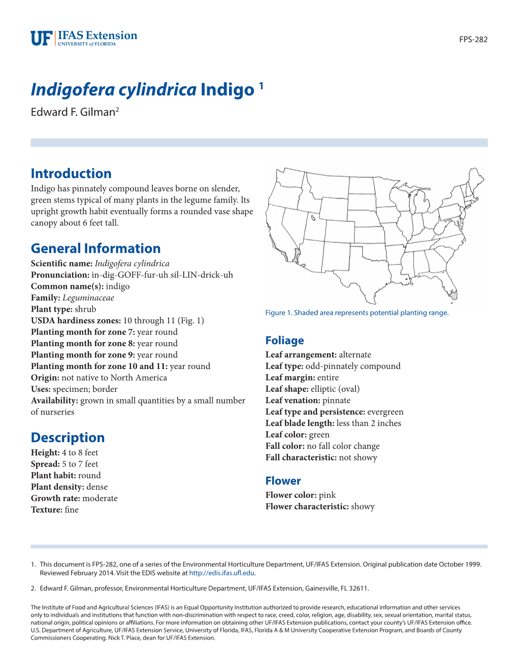 Indigofera Cylindrica Indigo 1 Edward F