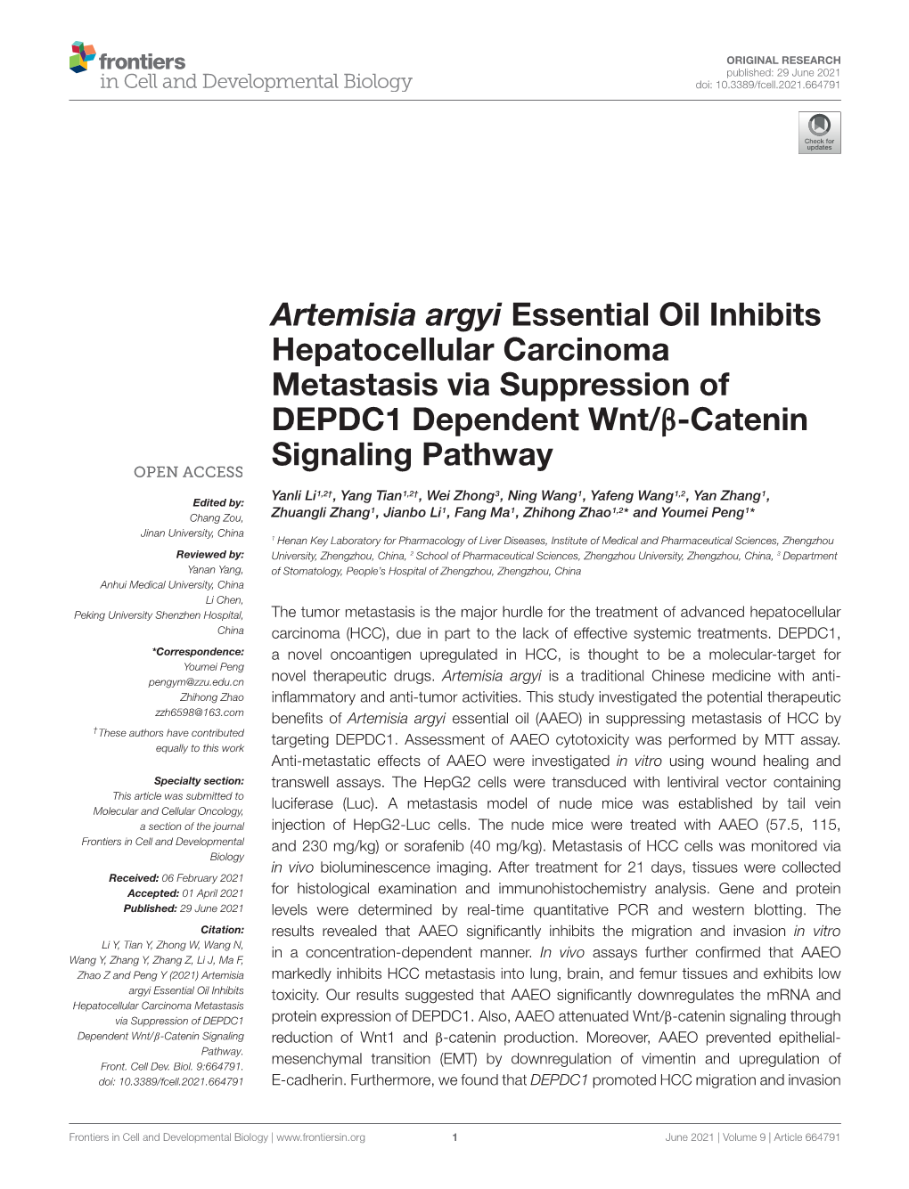 Artemisia Argyi Essential Oil Inhibits Hepatocellular Carcinoma Metastasis Via Suppression of DEPDC1 Dependent Wnt/Β-Catenin Signaling Pathway