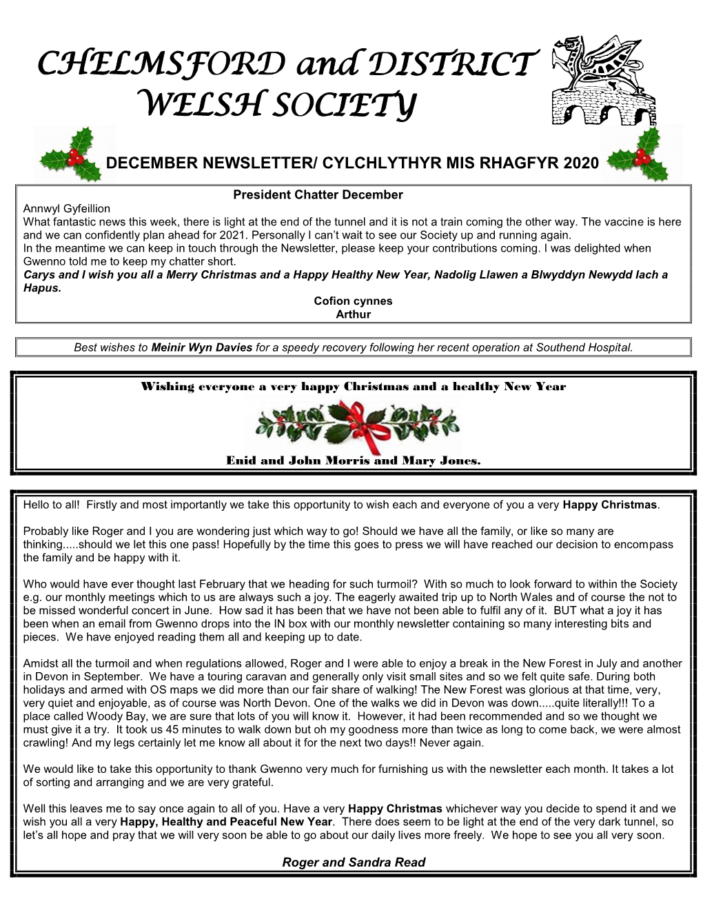 December Newsletter/ Cylchlythyr Mis Rhagfyr 2020