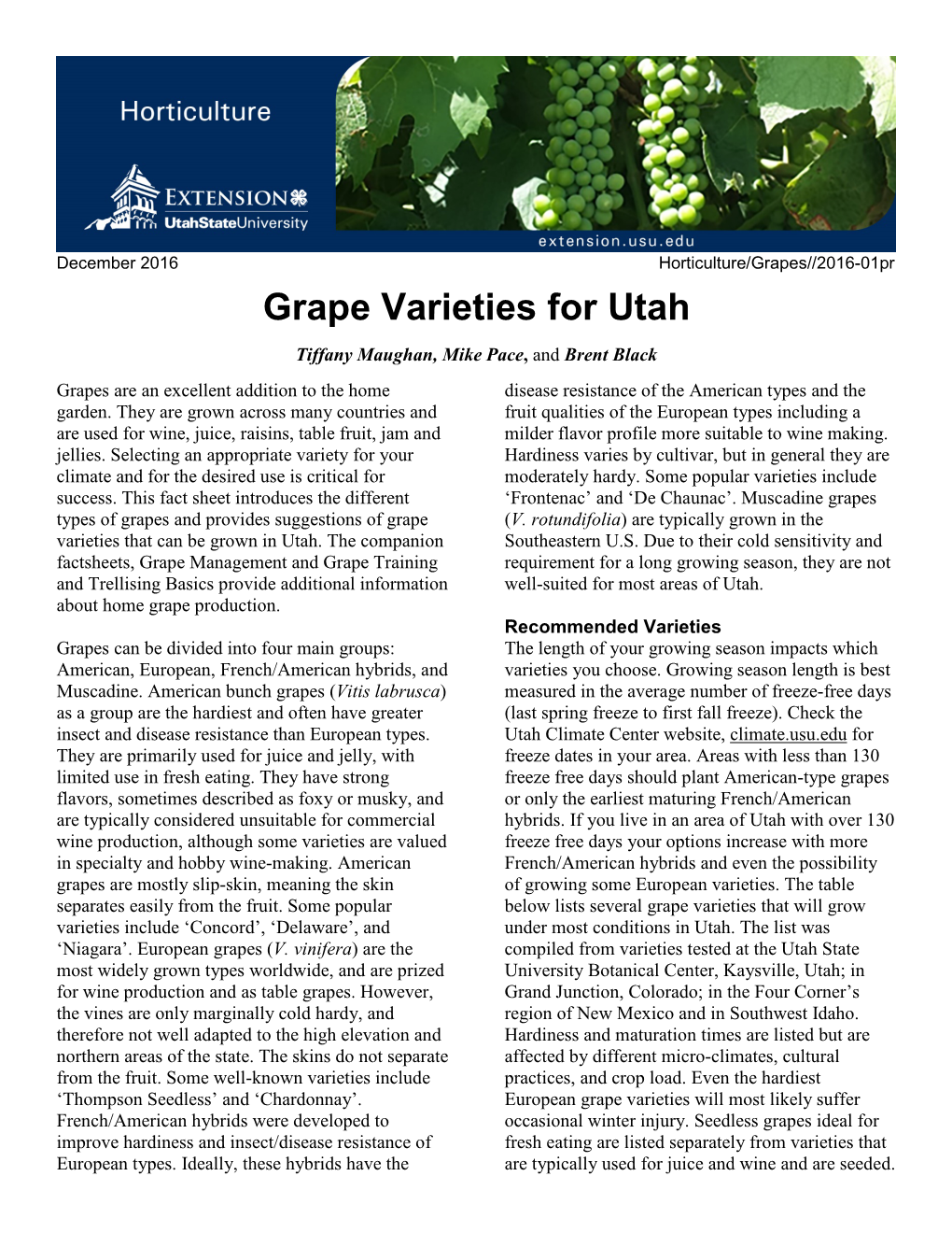 Grape Varieties for Utah