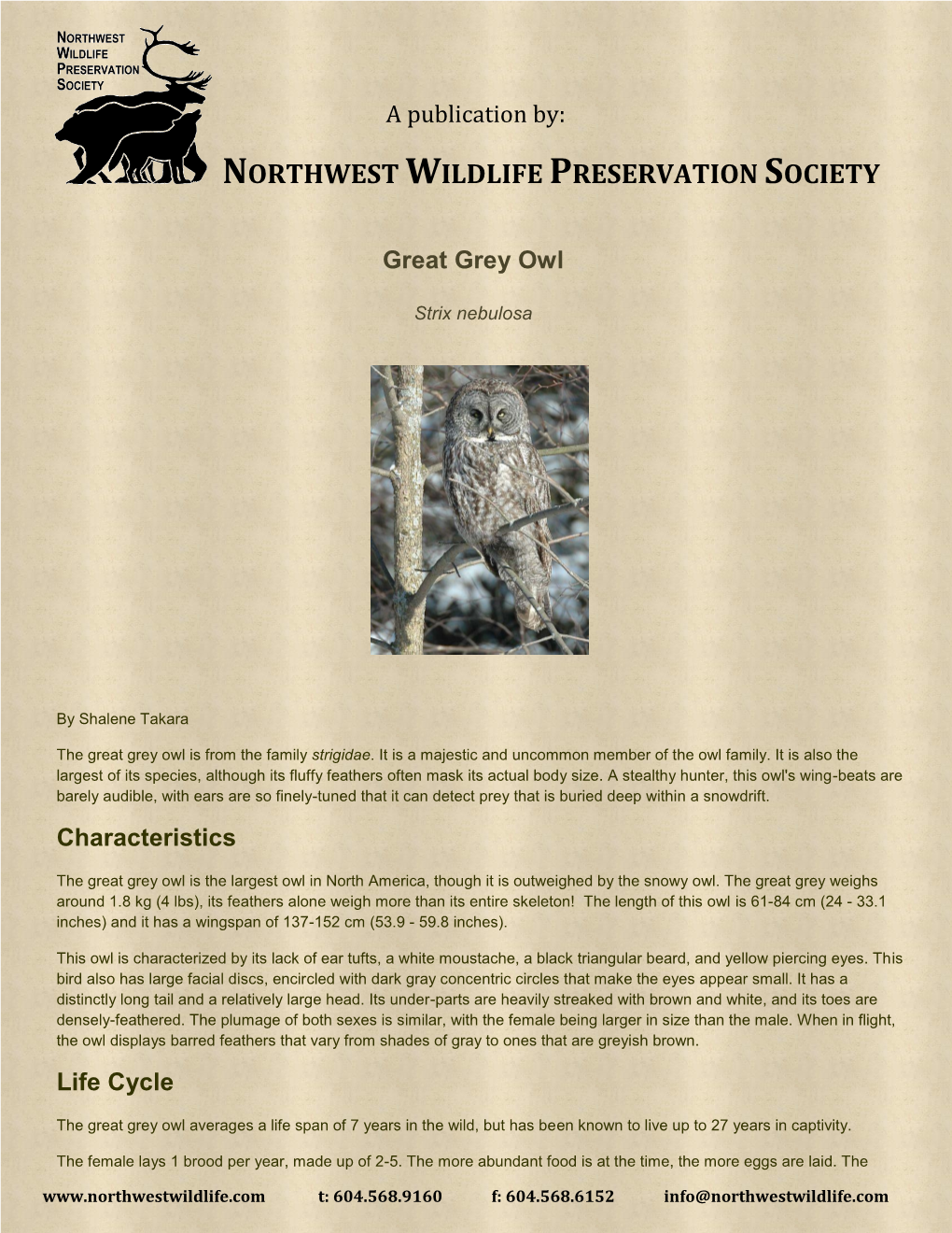 Northwestwildlife.Com Species Reports