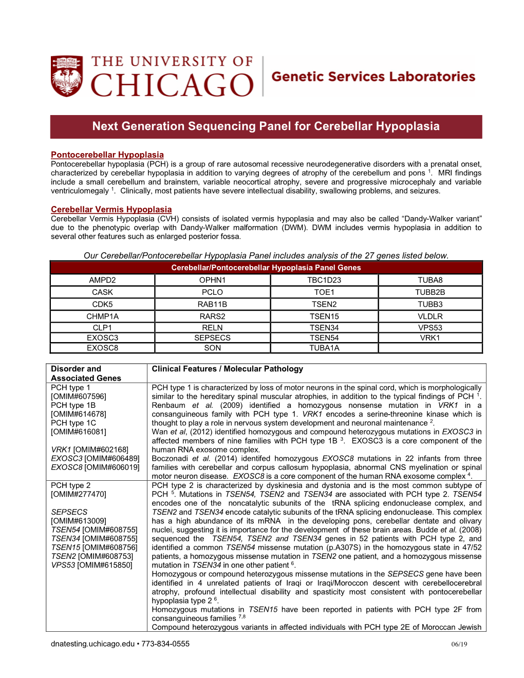 Cerebellar Hypoplasia Information Sheet 06-7-19