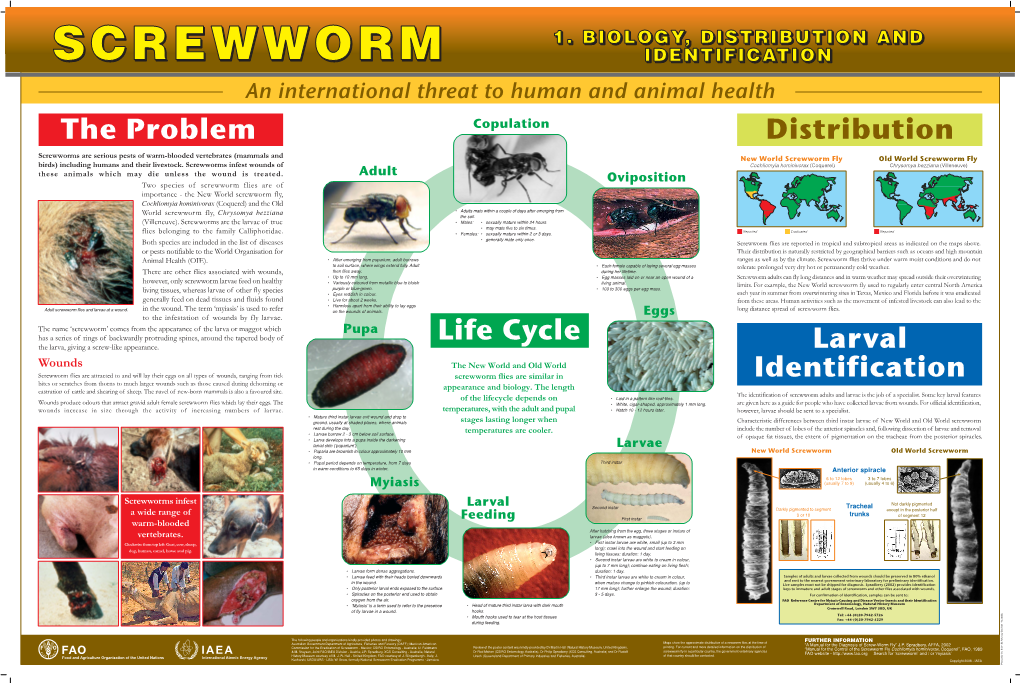 1 Screw Worm Posters for PRINT