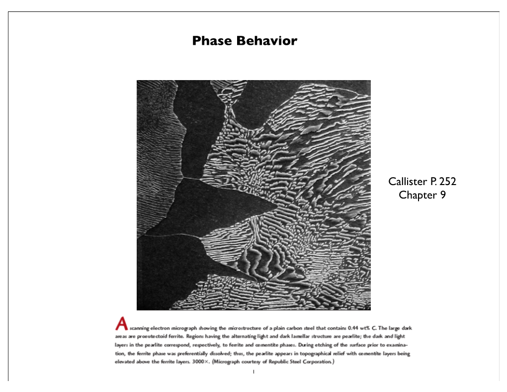 Phase Behavior