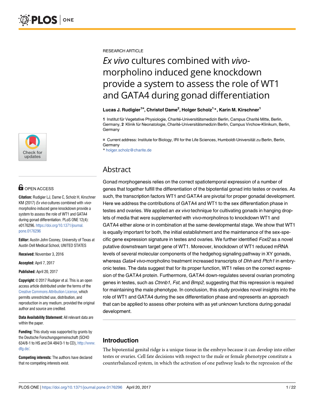 Ex Vivo Cultures Combined with Vivo-Morpholino Induced Gene