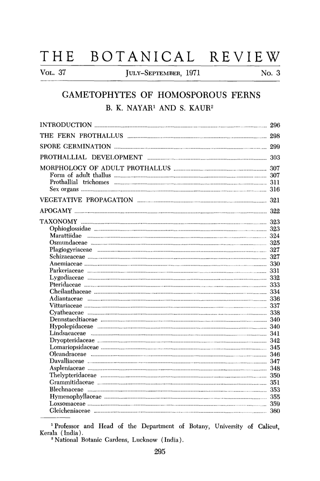 Gametophytes of Homosporous Ferns B